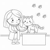 Coloring Veterinarian Cat Premium Listens Stethoscope Children Vector sketch template