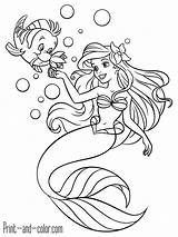 Ariel 儲存自 sketch template