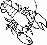 Lobster Coloring Outline Use These sketch template