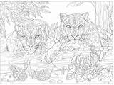 11x17 Coloring Pages Print Getcolorings Will sketch template