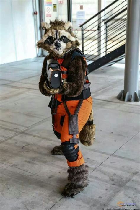 pin by king kickazz on cosplay rocket raccoon cosplay cosplay