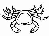 Crab Coloring Pages Kids Printable Crabs sketch template