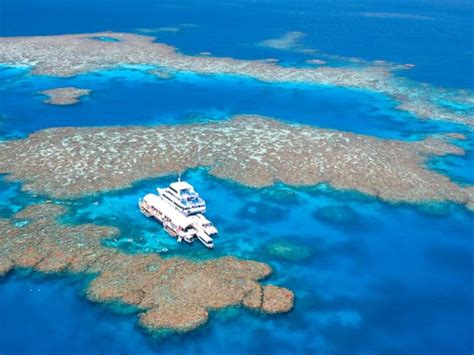 One Of The World S Natural Wonders The Great Barrier Reef