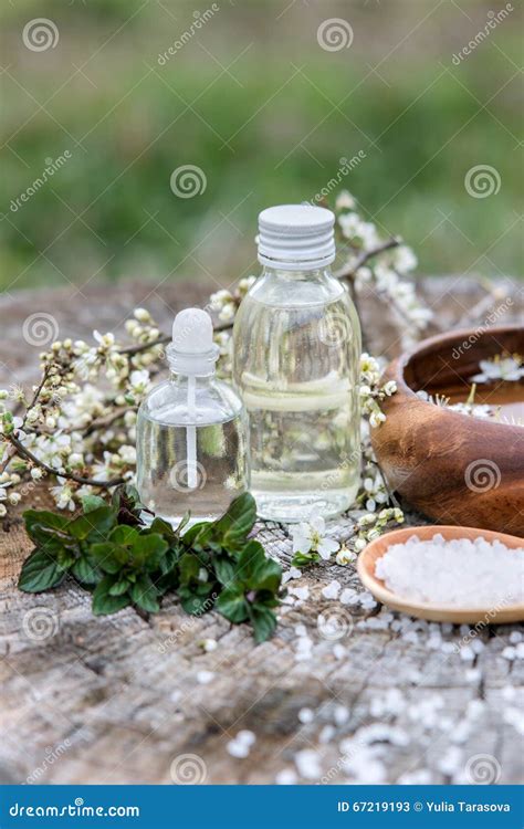 spa  wellness setting  sea salt oil essence stock image image