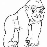 Gorilla Coloring Pages Face Baby Drawing Printable Kids Sheet Color Getdrawings Funny Getcolorings Print sketch template