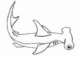 Shark Coloring Hammerhead Pages Hungry Habitat Its Printable Getcolorings Sharks Sheet Color Kids Getdrawings Colouring sketch template