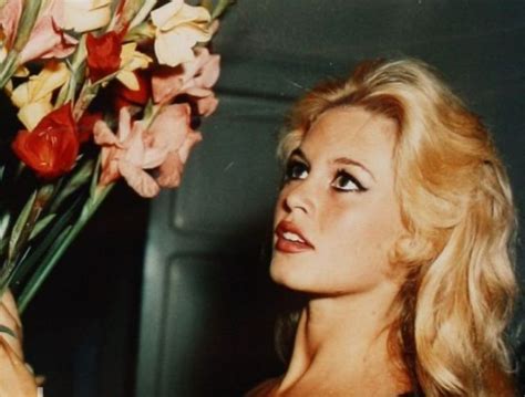 Brigitte Bardot Getting Older 16 Pics