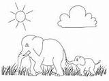 Gajah Mewarnai Coloring Lucu Gambar Menggambar Elephants sketch template