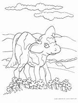 Meadow Cow Coloring Kinderart Pdf Print Size sketch template