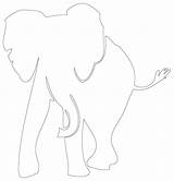 Elephant Outlines Tondo Elephants sketch template