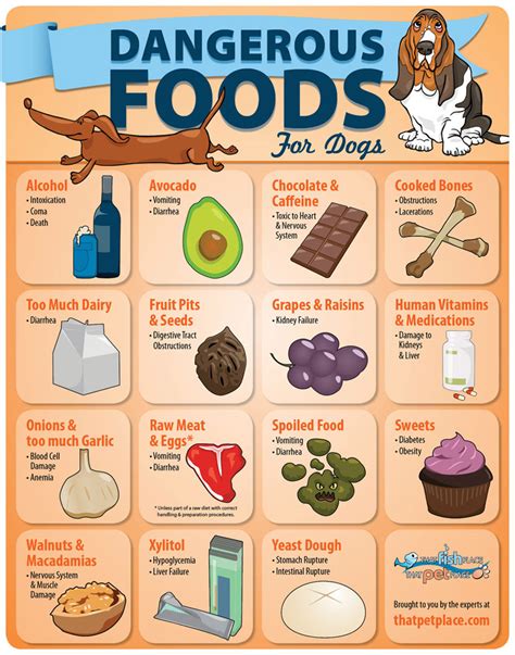 dangerous foods  dogs infographic thatpetplacecom