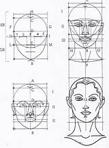 Proportions Face Drawing Female Faces Golden Human Ratio Head Pencil Facial Perfect Da Leonardo Schnitt Drawings Goldener Eyes Rectangle Draw sketch template