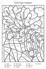 Magique Coloriages Ce1 Magiques Additions Mathématiques Moltiplicazioni Archivioclerici Brody Magnifique Moltiplicazione Calcul sketch template