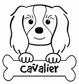 Cavalier Spaniel Pages Daycoloring sketch template