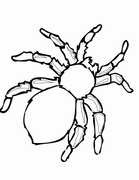 disegno da colorare della figura intera delluomo ragno disegni da