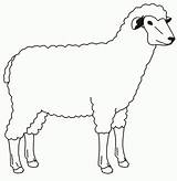 Kolorowanki Owce Dzieci sketch template