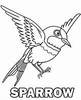 Sparrow Topcoloringpages sketch template