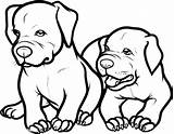 Coloring Pitbull Dog Baby Pages Puppy Two Box Jack Adorable Printable Color Staffordshire Bull Getcolorings Drawing Cute Pitbulls American Getdrawings sketch template