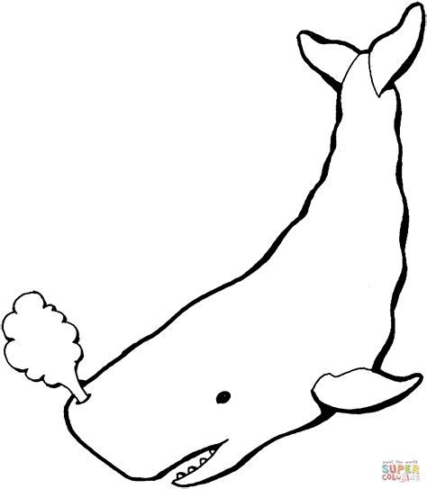 drawings of sperm whales hot nude