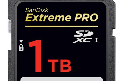 sandisk tb micro sd card  price  surprise