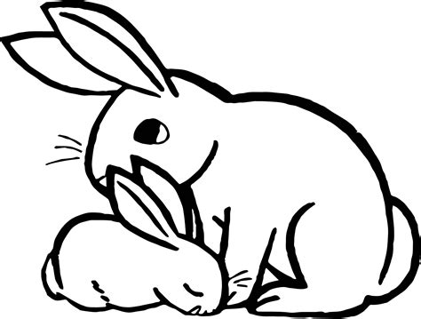 awesome rabbit animal coloring page animal coloring pages coloring