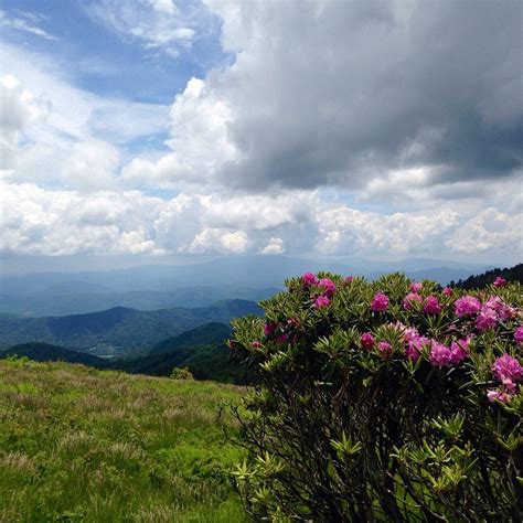 roan mountain state park