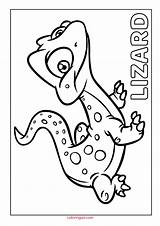 Lizard Coloring Pages Pdf Kids Printable Cute Colouring Coloringoo Book Boys sketch template