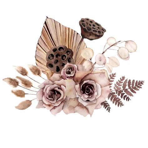 watercolor clipart boho floral dried bouquet botanical illustration