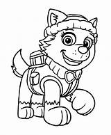 Patrol Paw Everest Coloring Pages Dibujos Snow Colorear Dog Nickelodeon Para Pintar Rescue Book Patrulla Canina Colouring Disney Printable Pages2color sketch template