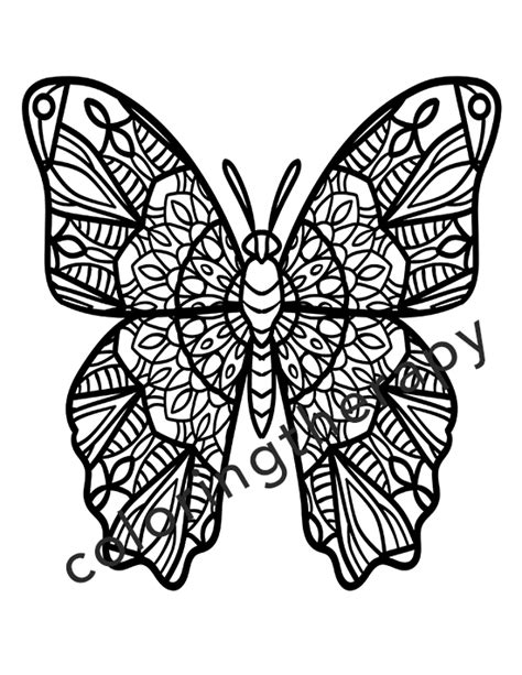 butterfly adult coloring digital book  pages coloring therapy