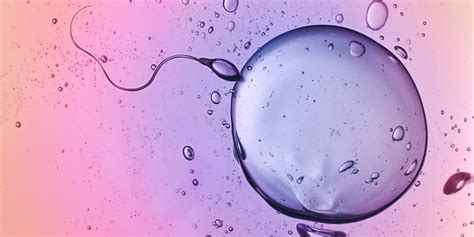 What Is Ovulation Fertility Calendar And Ovulation Symptoms