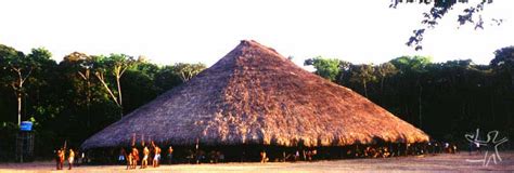 Waimiri Atroari Indigenous Peoples In Brazil