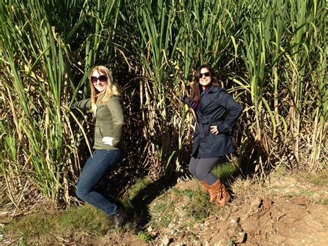 Hillary And Ashley Work Their Thighs In Sugar Cane Fields