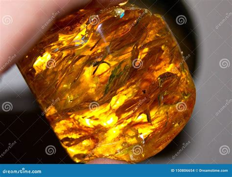 opgepoetste amber van de oostzee stock foto image  naughty geel