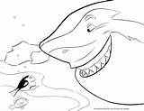 Sharks Coloring Pages Jose San Getdrawings sketch template