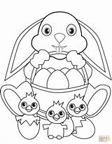 Easter Coloring Bunny Pages Basket Chicks Egg Eggs Printable Drawing sketch template