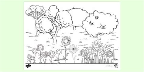 trees plants  flowers colouring page colouring sheets