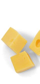 stompetoren kaas wordt gemaakt  de beste kaasmakerij van nederland