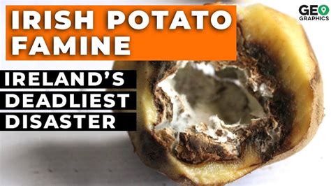 geographics  irish potato famine tv episode