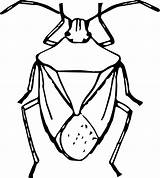 Bug Stink Drawing Clipart Bee Insect Bugs Coloring Killer Beetle Line Clip Cartoon Pages Svg Insects Drawings Openclipart Transparent Easy sketch template