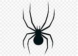 Widow Spider Spiders Favpng sketch template