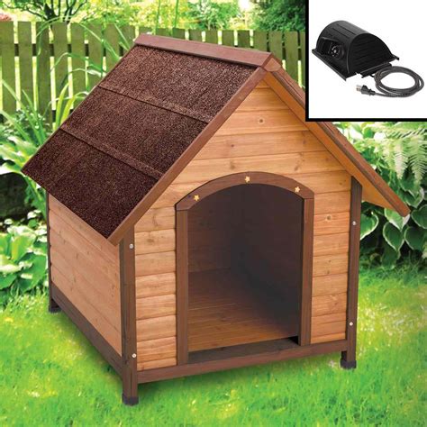 heated dog houses daily paws