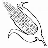 Corn Coloring Ear Kids Pages Fun Real Cute sketch template