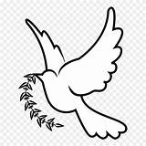 Dove Doves Clipart Drawing Symbol Symbols Transparent Drawings Christianity Pinclipart Paintingvalley Cliparts Webstockreview Collection Library sketch template