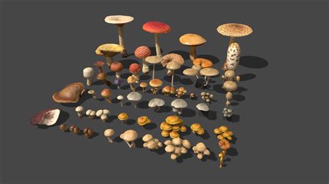 mushroompack 3d models sketchfab