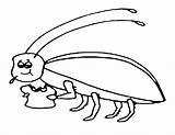 Cockroach Coloring Pages 75kb 463px sketch template
