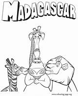 Madagascar Coloring Alex Melman Pages Gloria Marty Choose Board Animals sketch template