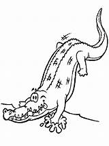Cocodrilos Dibujos Mewarnai Buaya Mewarna Krokodyl Anak Dan Paud Aneka Kolorowanki Boleh Kartun Ucapan Contoh Bomba Landak Aligator Muat Turun sketch template