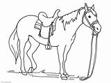Horse Coloring Pages Printable Hard Designs Preschoolers Canvas Head Engaging 8th June sketch template