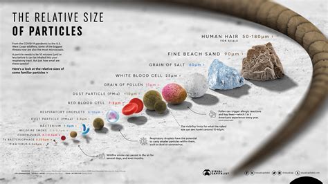 relative size  particles